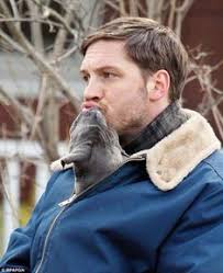 Tom hardy: 410 ideas para guardar hoy de "TOM HARDY MORE LOVE  😍😜💘💃🌞🌈🦋💯"