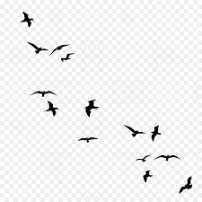 Swallow Bird Png Download 1024 1024 Blue Background Images Wreath Illustration Silhouette Drawing