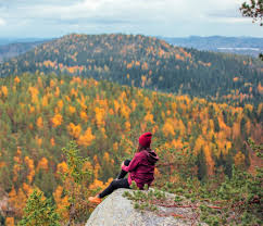 Alasan yang berlawanan dengan maksud yang sebenarnya. Discovering Finland Di Twitter There Are 40 National Parks In Finland Found In All Parts Of The Country From Lemmenjoki National Park In Northern Lapland To The The Ekenas Archipelago In The