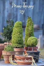 Tante Malis Gartenblog In 2020 Moos Dekoration Fruhling Selbermachen Garten Garten Deko