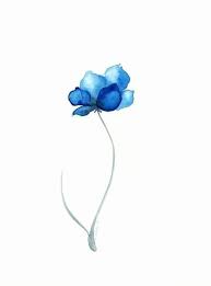 Painting watercolor flowers in a mason jar or vase. Watercolor Ideas Discovered By Ø§Ø³ Ù€Ù€Ù…Ø§Ø¡ On We Heart It