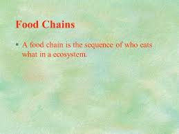 Food chains and webs what's for dinner. Food Chains And Food Webs What S For Dinner Food Chains A Food Chain Is The Sequence Of Who Eats What In A Ecosystem Ppt Download