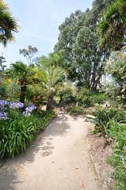 jardin exotique botanique a roscoff jardin exotique jardin classique jardins
