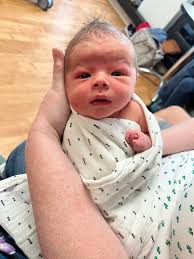 Who do these heavily insured hands belong to?