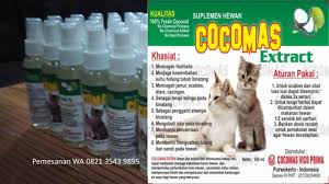 Pin Di Obat Kucing Flu