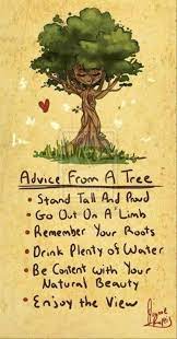 Top Ten Quotes Of The Day Funny Quotes For Kids Inspirational Quotes For Kids Quotes For Kids