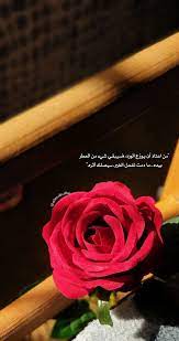 من اعتاد أن يزرع الورد فسيبقى شيء من العطر بيده ما دمت تفعل الخير سيصلك أثره book photography instagram iphone wallpaper tumblr aesthetic paper flowers