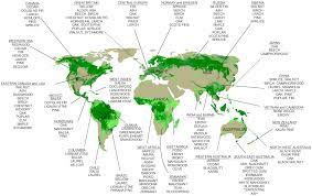 World Map Showing The Distribution Of Forests And Woodlands With The Species Of Trees Grown California Map Nature Forest Landscape