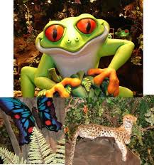 Eyes Have It Animal Wallpaper Animals Rainforest Animals
