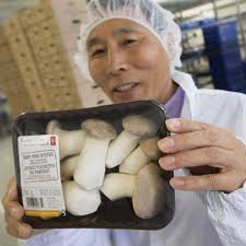 Canada's grocers embrace the magic of mushrooms