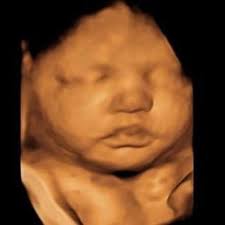 Such a cute session with...