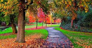 Download the best hd and ultra hd wallpapers for free. Free Fall Screensavers Wallpapers 40 Wallpapers Adorable Wallpapers