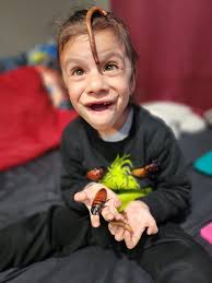 praying mantis behavior observed