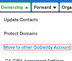 How long does it take to transfer a domain name? Move My Domain To Another Godaddy Account Domains Godaddy Help Us
