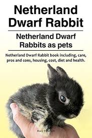 Netherland Dwarf Rabbit Netherland Dwarf Rabbits As Pets Netherland Dwarf Rabbit Book Including Pros And Cons Care Housing Cost Diet And Health Dwarf Rabbit Netherland Dwarf Dwarf Bunnies