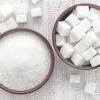 Get top quality raw sugar from leading raw sugar manufacturers & suppliers. 1