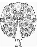 Check spelling or type a new query. India Coloring Pages
