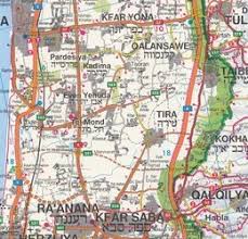 The un's 1947 proposed partition of palestine: Palestyna Na Mapie