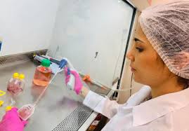 Notícias Destaque Archives