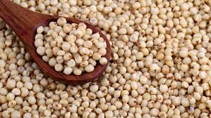 Image result for Sorghum