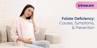 Image result for Folate Deficiency