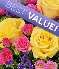 We did not find results for: Hospital Flowers Hospital Flower Delivery