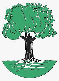 Tree With Roots Clip Art Free Johann Pachelbel Family Tree Hd Png Download Transparent Png Image Pngitem