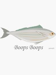 Image result for Boops boops