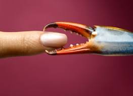 Nail artist of julie kandalec of of julie k nail artelier in new york city says now is the time to take your favorite colors and wear them in the most extra way. What Color Nail Polish Are You Wearing Right Now Glamour