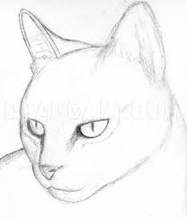 The cat's legs should be the same in length and thickness. How To Draw A Cat Head Draw A Realistic Cat Step By Step Drawing Guide By Finalprodigy Dragoart Com