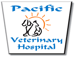 On the street of south wadsworth boulevard and street number is 1234. Pacific Veterinary Hospital 158 Recommendations Stockton Ca