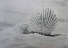 How to draw snail easy? How To Draw Seashells Online Art Lessons