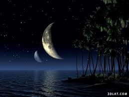 خلفيات الشاشة الرئيسية ورد أحمر windows background. Ø®ÙÙÙØ§Øª Ø¨ÙØ§Øª ÙØ³Ø·Ø­ Ø§ÙÙÙØªØ¨