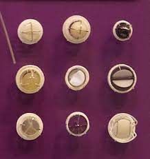 Nonetheless, with proper care, it is possible to allow the valve to function to its lifetime, which is 15 years. Artificial Heart Valve Wikipedia