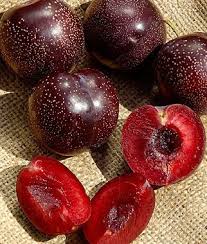 Over 20,490 japanese fruit pictures to choose from, with no signup full size: Pin On Garden Of Eden Project