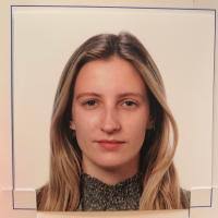 The Family Copoli Program