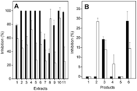 Image result for Nectaropetalum carvalhoi