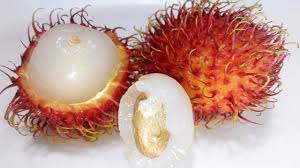 Resultado de imagen para Rambutan (Nephelium lappaceum