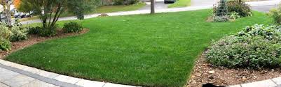 It helps keep your lawn healthy and vigour without a core aerator is a great tool to prepare the yard for seeding quickly. Overseeding Your Lawn 11 Tips That Actually Work Diy Lawn Expert