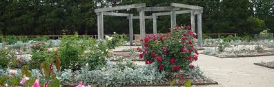 Maybe you would like to learn more about one of these? Saumarez Homestead Gardens National Trust