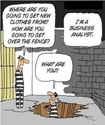 A Business Analyst By Definition Business Analyst Humor Business Analyst Business Analysis