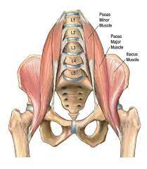 Your hamstring muscles control movement of your torso, hips and. 5 Exercises For Tight Hip Flexors How To Fix Your Tight Hips