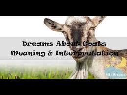10 Dreams About Goats Meaning And Interpretation Goat Meaning Dream Interpretation Dream Meanings