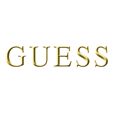 Image result for Guess