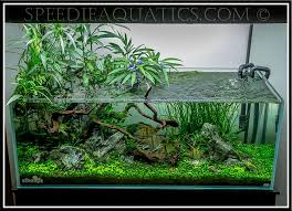Nick S Ada 120 P Journal Sequel Fresh Water Fish Tank Aquarium Fish Tank Aquarium Fish