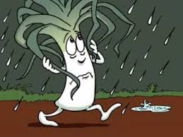 March Book Of The Month Leek S Rainy Day Youtube March Book Book Of The Month Educational Youtube Videos