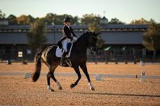 Dressage at Tryon International