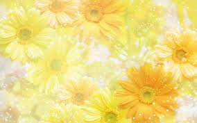 Yellow Flower Wallpaper Flower Wallpaper Spring Wallpaper Hd