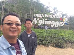 Kebun teh nglinggo merupakan salah satu wisata kebun teh yang berada di daerah istimewa yogyakarta. Kebun Teh Nglinggo Visit My Jogja 08211 4040 233