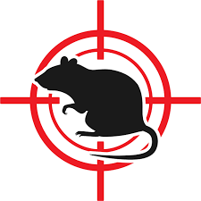 Rodent pest control assessment trapping all the rodents in the house all rodent trapping and rat pest control is done in accordance with local, state, and federal laws. 13 Do It Yourself Pest Control And Prevention Tips Advantage Ipe